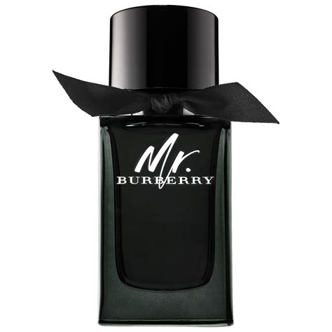 Burberry Mr. Burberry 4